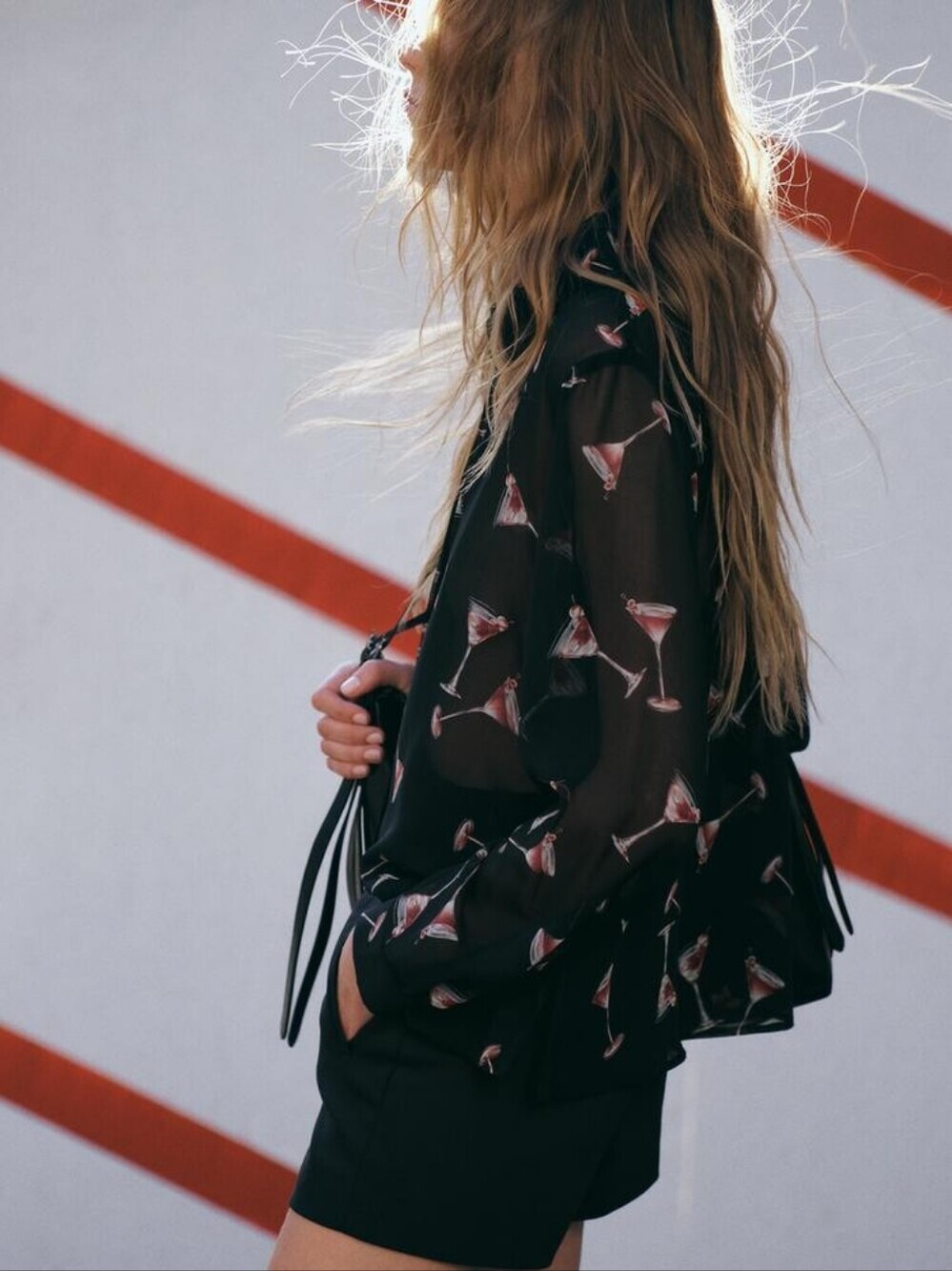 Zara Sheer Martini Blouse XXL